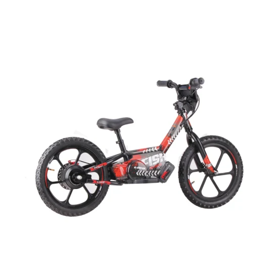 Kinder Mini Elektrofahrrad Sicherheit Leichtes Ebike 36V 2,5ah 250W Bürstenloser Nabenmotor Scheibenbremse Elektrisches Laufrad