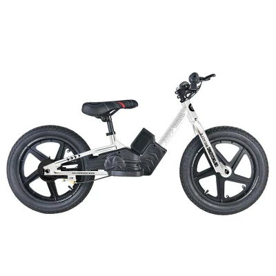 Fabrik Günstige Kinder Fat Tire Elektro-Balance-Fahrrad für Kinder-Ebike